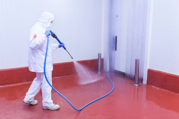 Best Heavy Equipment Washing  in Bethel, NC